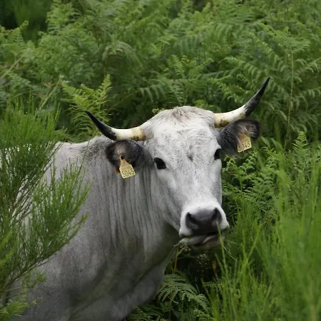 D'hôtes La Bourdasse Maison d'hôtes 3*